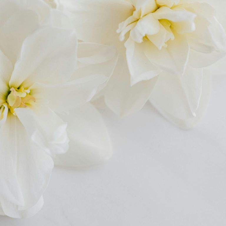 pexels-karolina-grabowska-4466468